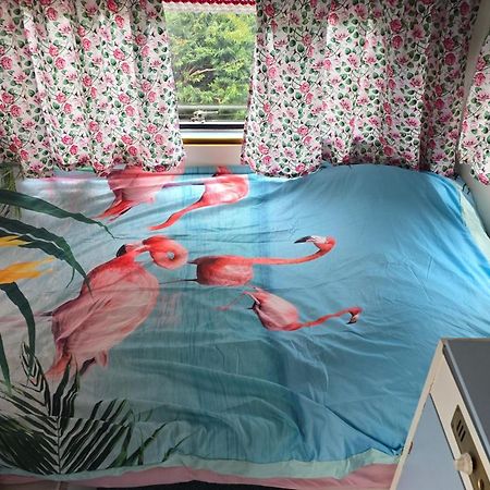 Balistyle Guesthouse Incl Hottub Near Amsterdam And Haarlem Velsen-Zuid Εξωτερικό φωτογραφία