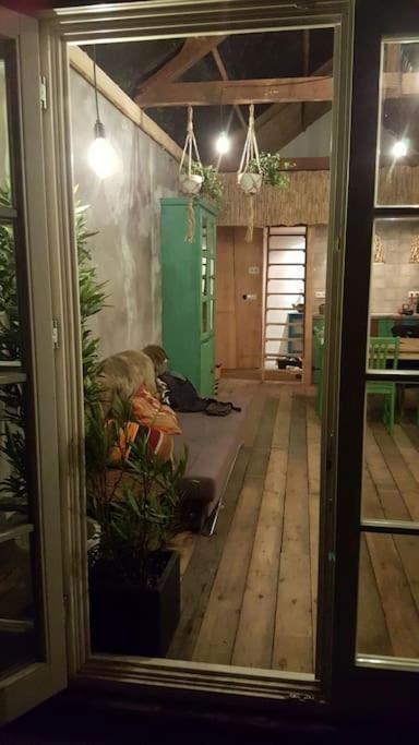 Balistyle Guesthouse Incl Hottub Near Amsterdam And Haarlem Velsen-Zuid Εξωτερικό φωτογραφία