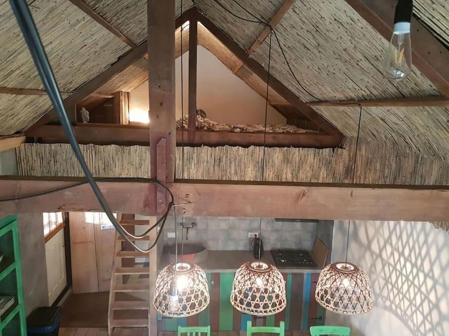 Balistyle Guesthouse Incl Hottub Near Amsterdam And Haarlem Velsen-Zuid Εξωτερικό φωτογραφία