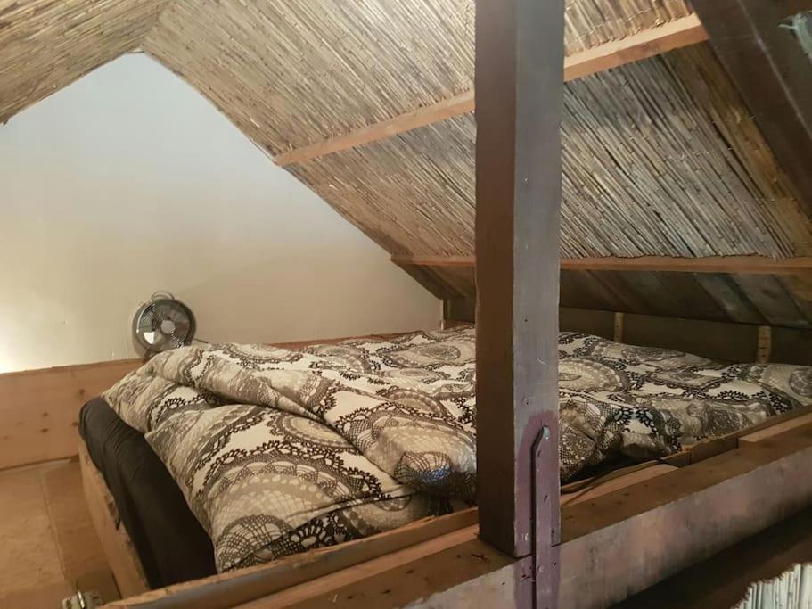 Balistyle Guesthouse Incl Hottub Near Amsterdam And Haarlem Velsen-Zuid Εξωτερικό φωτογραφία